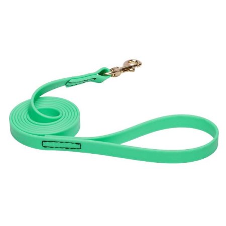 Green Waterproof Doberman Leash Made of Biothane