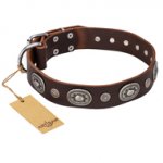 "Extra Pizzazz" FDT Artisan Adorned Brown Leather Doberman Collar