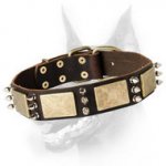 Exclusive Doberman Collar - New Leather Collar with Plates and Spikes