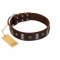"War Chief" FDT Artisan Genuine Brown Leather Doberman Collar with Skulls and Plates