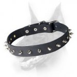 Leather Dog Collar with Row of Silverish Spikes