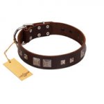 "Object of Virtu" FDT Artisan Brown Leather Doberman Collar with Old Silver-like Square Studs and Pyramids