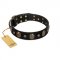 Pirate's Spell' FDT Artisan Black Leather Doberman Collar with Engraved Studs and Medallions