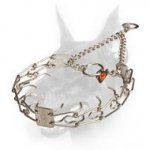 Doberman Dog Stainless Steel Pinch Prong Collar