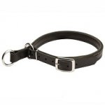 Adjustable Leather Slip Collar with Solid Nickel-plated hardware