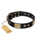 "Antique Gloss" FDT Artisan Black Leather Doberman Collar with Bronze-like Plates and Small Studs