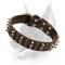 Doberman Spiked & Studded Dog Collar-Multifunctional Training Collar