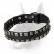 Exclusive Stud Decorated Leather Dog Collar