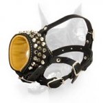 Doberman og Nappa Padded Muzzle with Amazing Studs