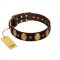 "Crystal Mirror" FDT Artisan Handmade Brown Leather Doberman Collar - 1 1/2 inch (40 mm) Wide