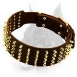 Spiked Leather Dog Collar-Extra Wide Dog Collar-Handmade Product