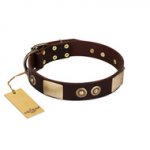 "Sense of Freedom" FDT Artisan Brown Leather Doberman Collar with Old Bronze-Plated Studs and Plates
