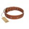 "Star Shine" Exclusive FDT Artisan Tan Leather Doberman Collar with Silver-Like Adornments