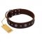 "Pure Sensation" Exclusive FDT Artisan Brown Leather Doberman Collar with Fancy Brooches and Studs