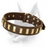 Sophisticated Leather Doberman Dog Collar with Brass Plates
