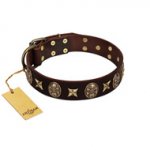 "Captain Hook" FDT Artisan Brown Leather Doberman Collar with Stars and Skulls