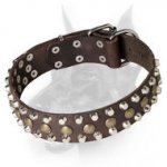 Fantastic Leather Doberman Dog Collar with Chic Decorations