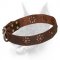 'Spring mood' Doberman Dog Leather Collar with Flowers