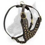 Studded Leather Dog Harness-Exclusive Friendly Doberman Harness