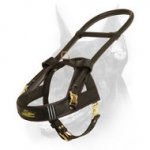 Perfect Doberman Guide Dog Harness with Reflective Strips