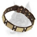 Stunnning Leather Dog Collar Decorated With Plates and Piramids