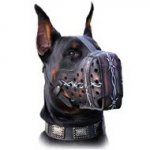 Leather Doberman Muzzle with Barbed Wire Painting