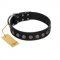 "Silent Star" Handmade FDT Artisan Designer Black Leather Doberman Collar with Engraved Plates