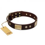 "Middle Age" FDT Artisan Brown Leather Doberman Collar with Old Bronze-Plated Engraved Flowers and Large Plates