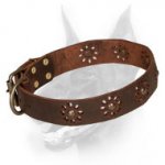 'Spring mood' Doberman Dog Leather Collar with Flowers