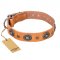 "Twinkle Twinkle" FDT Artisan Incredible Studded Tan Leather Doberman Collar