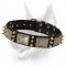 Excellent Leather Dog Collar with Massive Plates and Nickel Pyramids