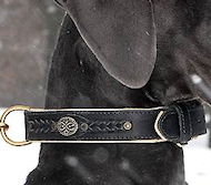 Doberman Royal Nappa Padded Hand Made Leather dog collar