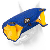 Doberman Puppy and Young Dog Bite Builder of French Linen