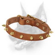 Spiked Leather Dog Collar-Leather Dog Collar Decorated With BRASS Spikes