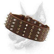 Doberman Spiked & Studded Exclusive Dog Collar