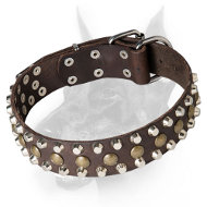 Fantastic Leather Doberman Dog Collar with Chic Decorations