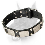 Extraordinary Leather Collar - Doberman Collar with Silver Plates and Pyramids