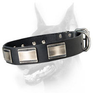 Fashion Doberman Collar Adorned wth Massive Vintage Plates