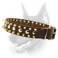 Awesome Leather Spiked Studded Dog Collar for Stately Doberman