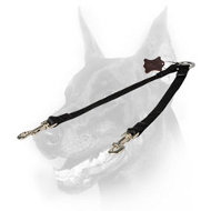 Doberman Nylon Coupler Lead for All-weather Walking Two Dogs