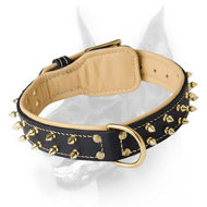 Simply Stunning Leather Dog Collar with 2 Rows of Spikes for Doberman