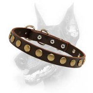 Designer Leather Dog Collar With Gold-Like Circles