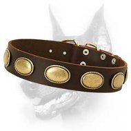 Retro Rulz - Gorgeous Vintage Dog Leather Collar - Handcrafted Creation