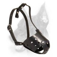 Latigo Safety Muzzle for Doberman