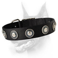 Exclusive Nylon Dog Collar with Awesome Silver Conchos