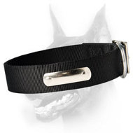 Looking for 2 Ply Nylon Dog Collar w/h name tag/Metal Buckle