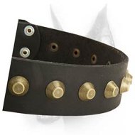 Gorgeous Wide Leather Dog Collar With One Centered Row Of Brass Pyramids