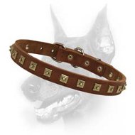 Worthy Leather Dog Collar-Brass Studded Doberman Breed Collar