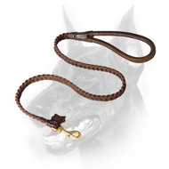 Exceptional Quality Doberman Dog Leash with Comfy Round Handle