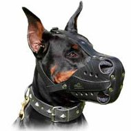 Doberman Leather Dog Muzzle for Attack/Agitation Training